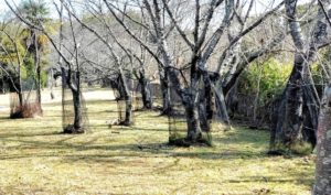 竹城台・N.Sさん