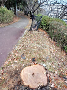 竹城台・N.Sさん