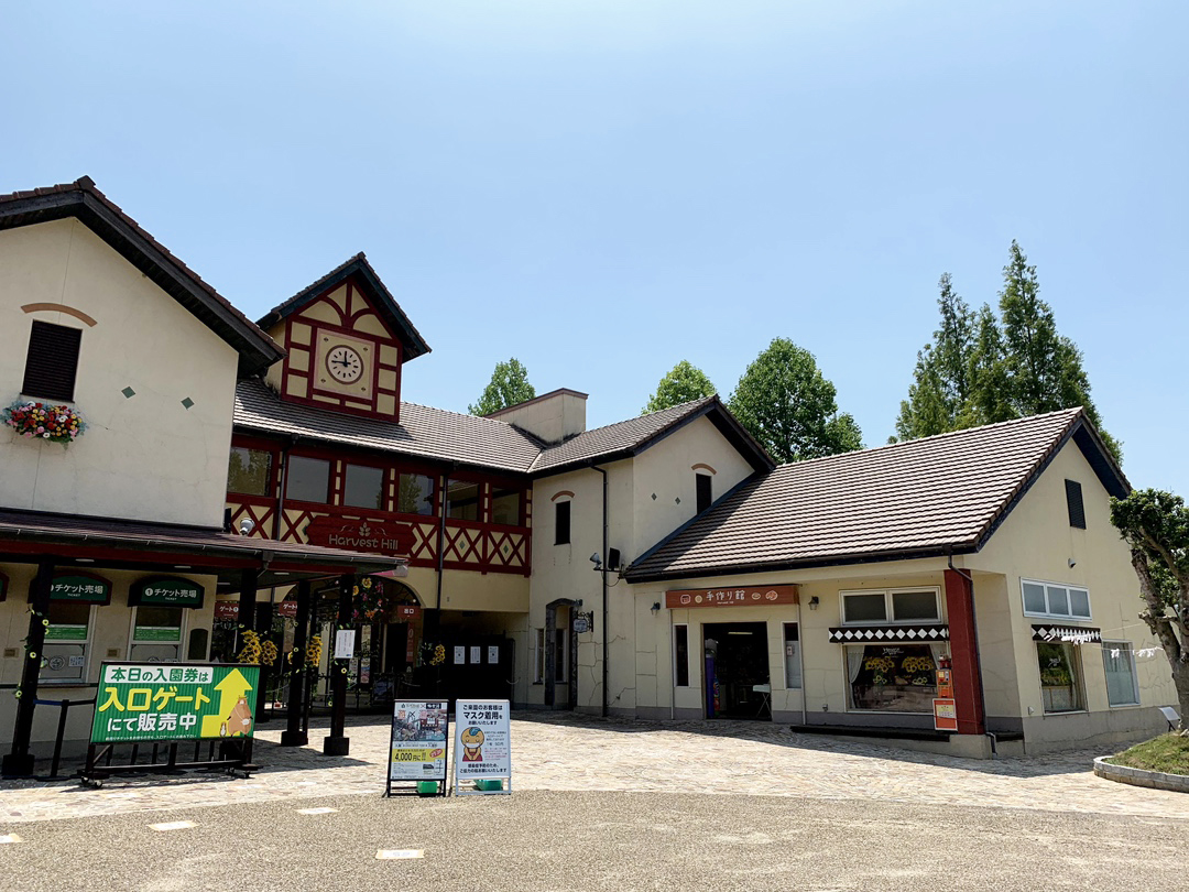 ハーベストの丘