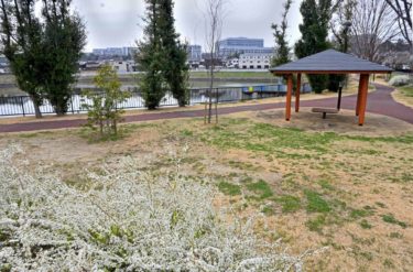 ［堺市南区］整備された岸池【投稿】