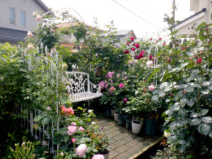 オープンガーデンさかい２０２６