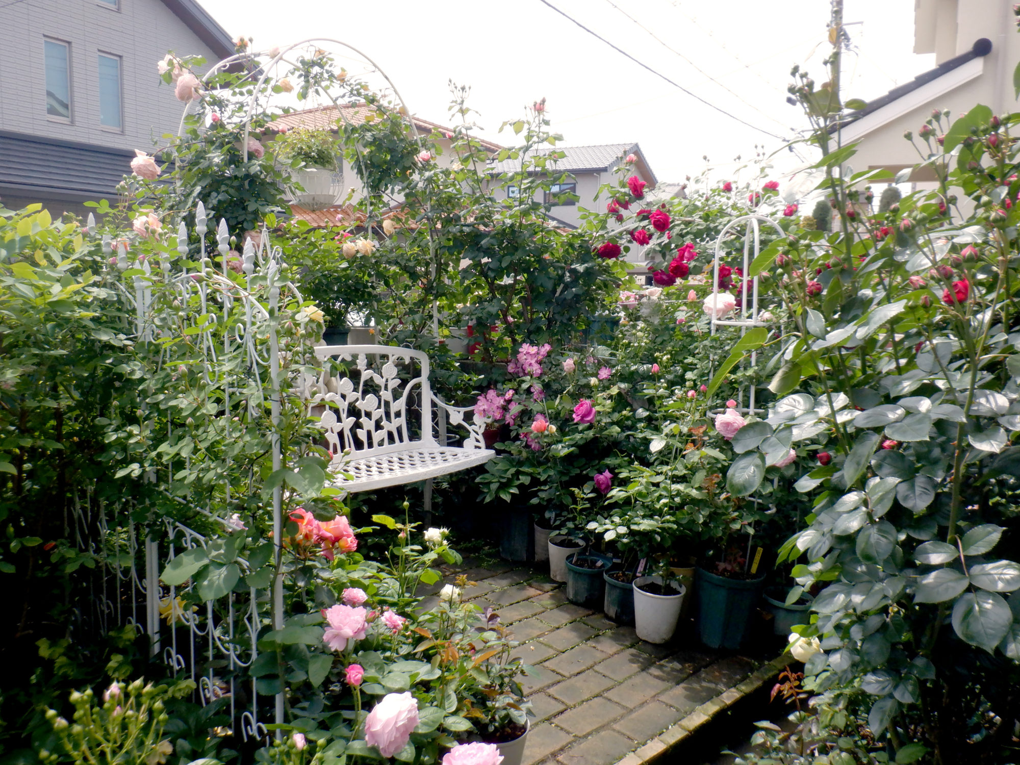 オープンガーデンさかい２０２６