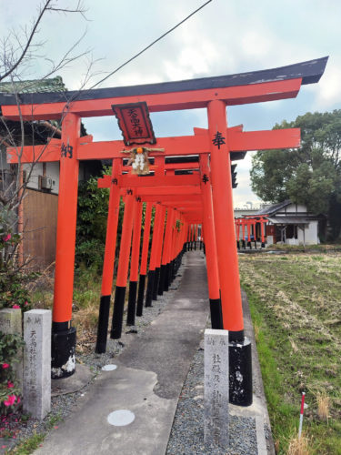 ［堺市南区］天高大神が「まちなみ景観賞」を受賞、45基の鳥居の魅力