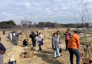 千本桜構想　植樹の様子
