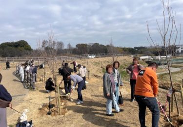 千本桜構想　植樹の様子