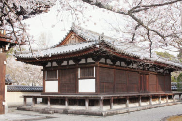 法道寺の食堂と桜