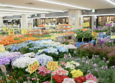 ［堺市南区］光明池駅前に国華園がオープン　園芸用品ほか、食品や生活関連商品まで幅広いラインナップ／国華園　サンピア光明池店
